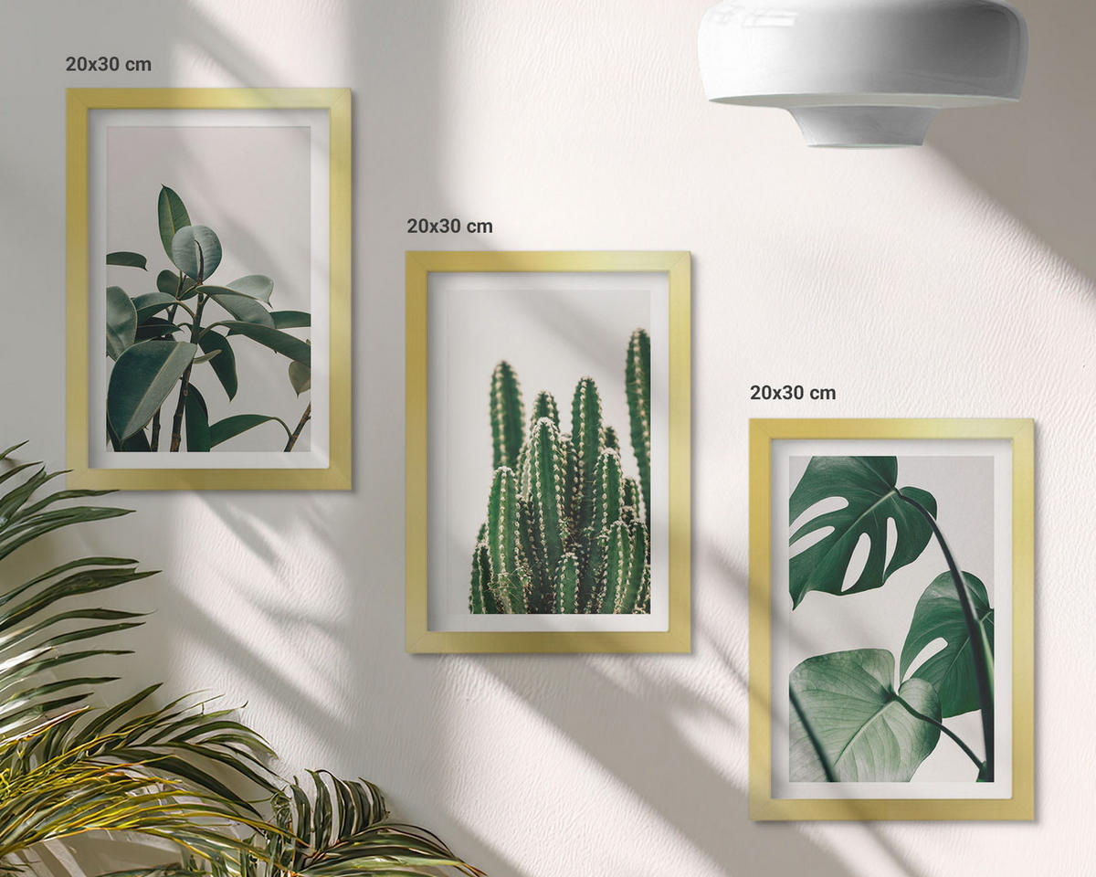 WANDBILDER 3er Set - 20x30 cm Goldrahmen - Tropische ästhetische Pflanzen - Goldfarben, Kunststoff (20/30cm) - ArtPrintCave