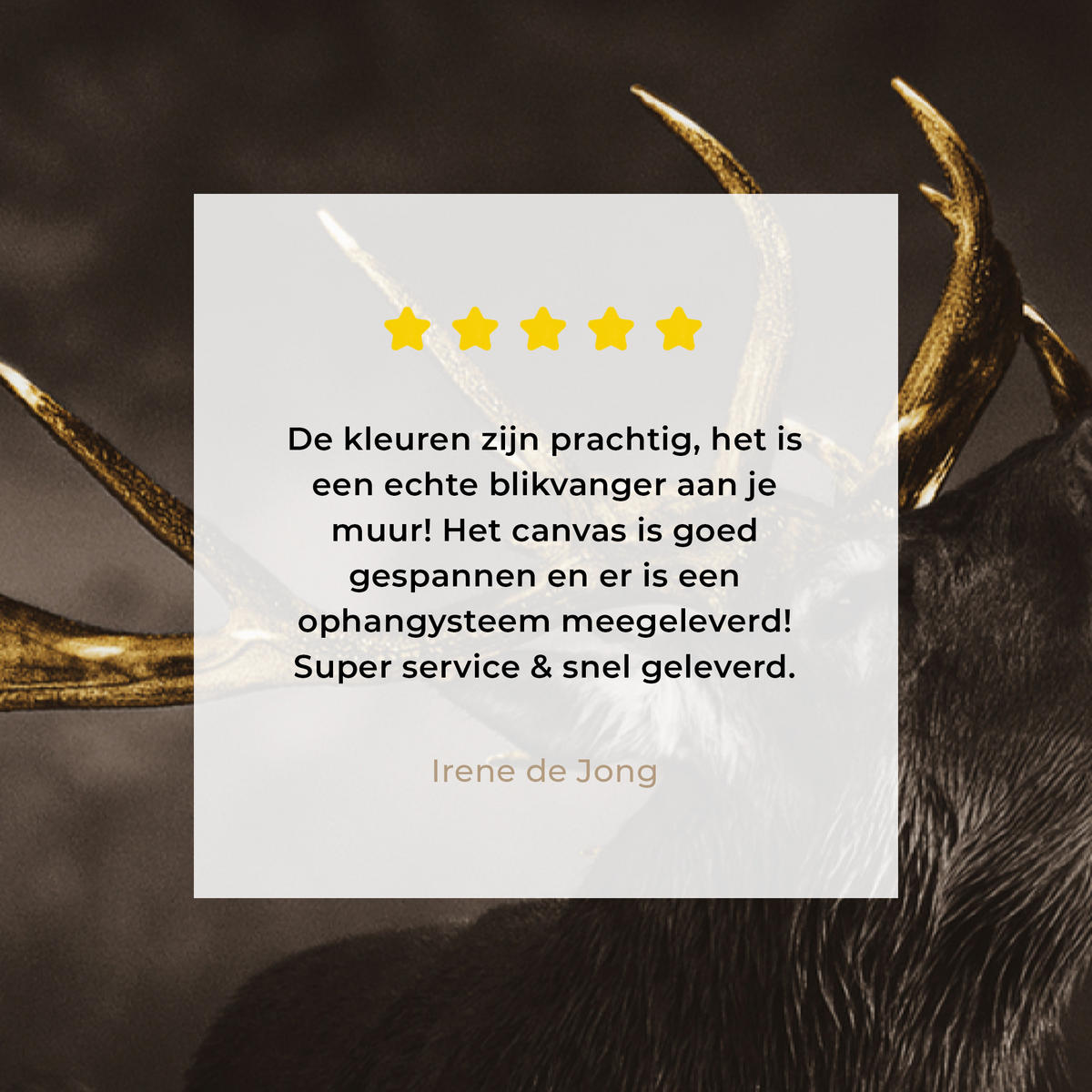 LEINWANDBILD Rotwild - Schwarz - Gold 20x30 cm - Braun, Textil (20/30cm) - MuchoWow