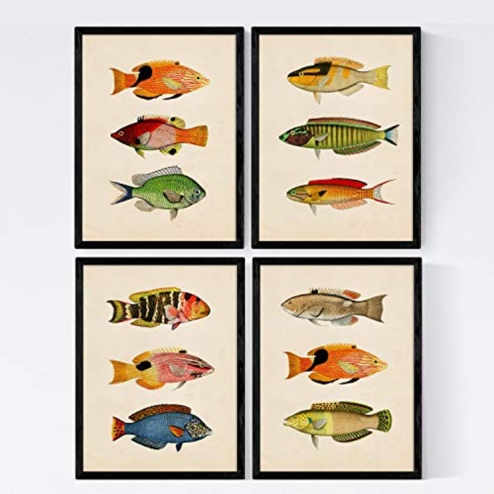 POSTER Set mit 4 Jahrgang bunten Effekt von 12 verschiedenem Fisch A3 Rahmenlos - Klar, Papier (29.7/3cm) - Nacnic