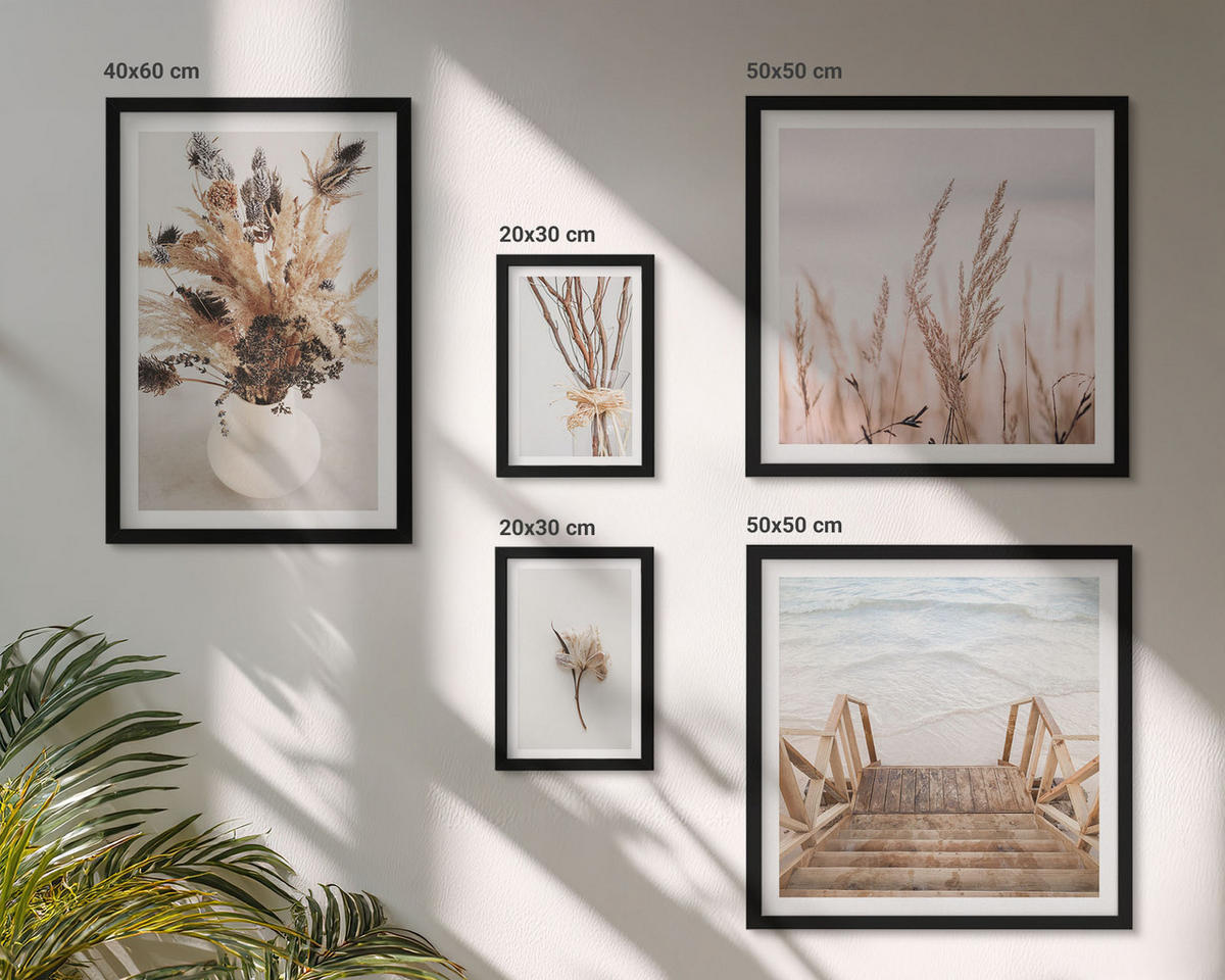BILDER SET 5er Set - 50x50 cm & 20x30 cm & 40x60 cm Schwarzer Rahmen - Blumenzweige Minimalismus Natur - Schwarz, Kunststoff (40/60cm) - TULUP