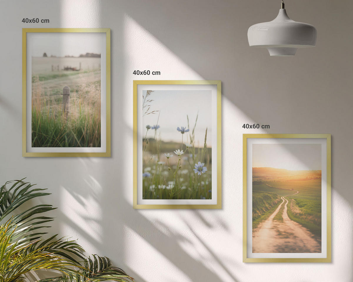 WANDBILDER 3er Set - 40x60 cm Goldrahmen - Landschaften Natur Felder Weg - Goldfarben, Kunststoff (40/60cm) - ArtPrintCave