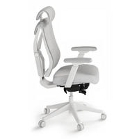BÜROSTUHL Verstellbarer Ergonomischer SitPro Grau 3-Dimensional Armlehne, Integrierte 5-Wege-Lendenwirbelstütze - Grau, Kunststoff (72/113/67cm) - Desktronic