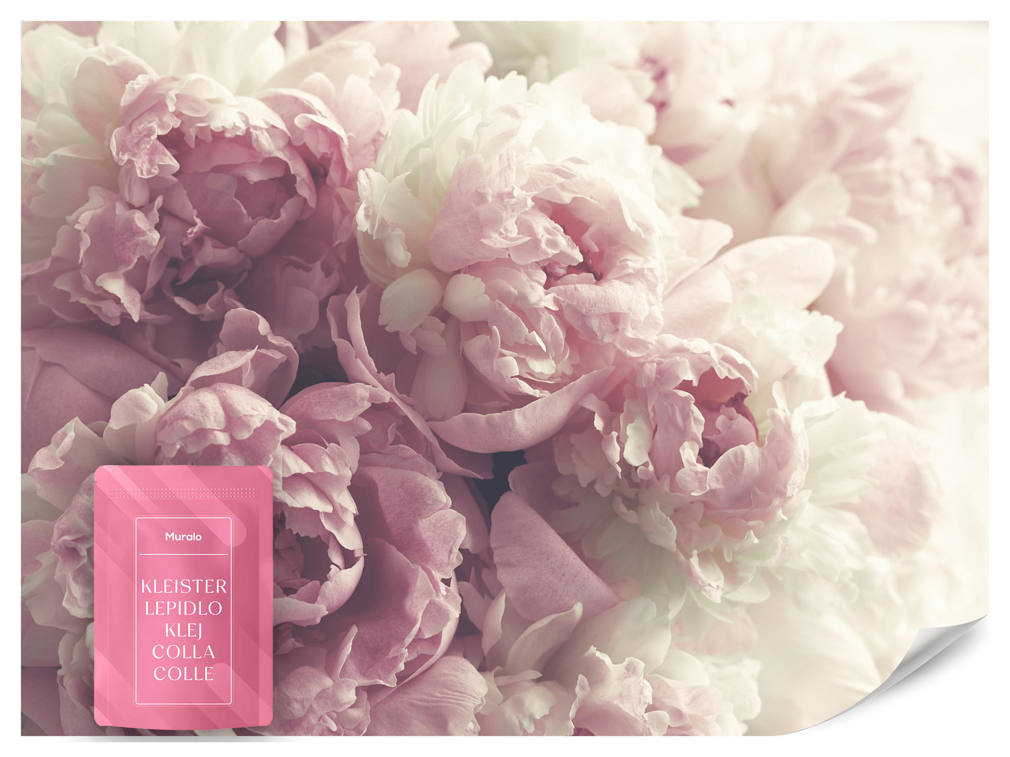 FOTOTAPETE Vintage-Pfingstrosen Blumen 3D 300x210 - Beige/Rosa, Papier (300/210cm) - Muralo