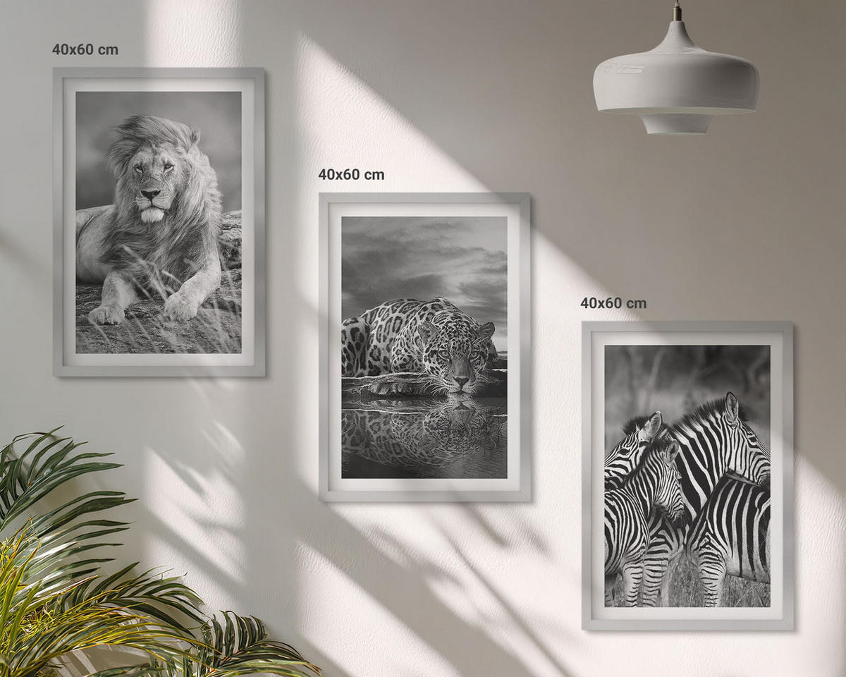 WANDBILDER 3er Set - 40x60 cm Silberner Rahmen - Wildtiere der Savanne - Silberfarben, Kunststoff (40/60cm) - ArtPrintCave