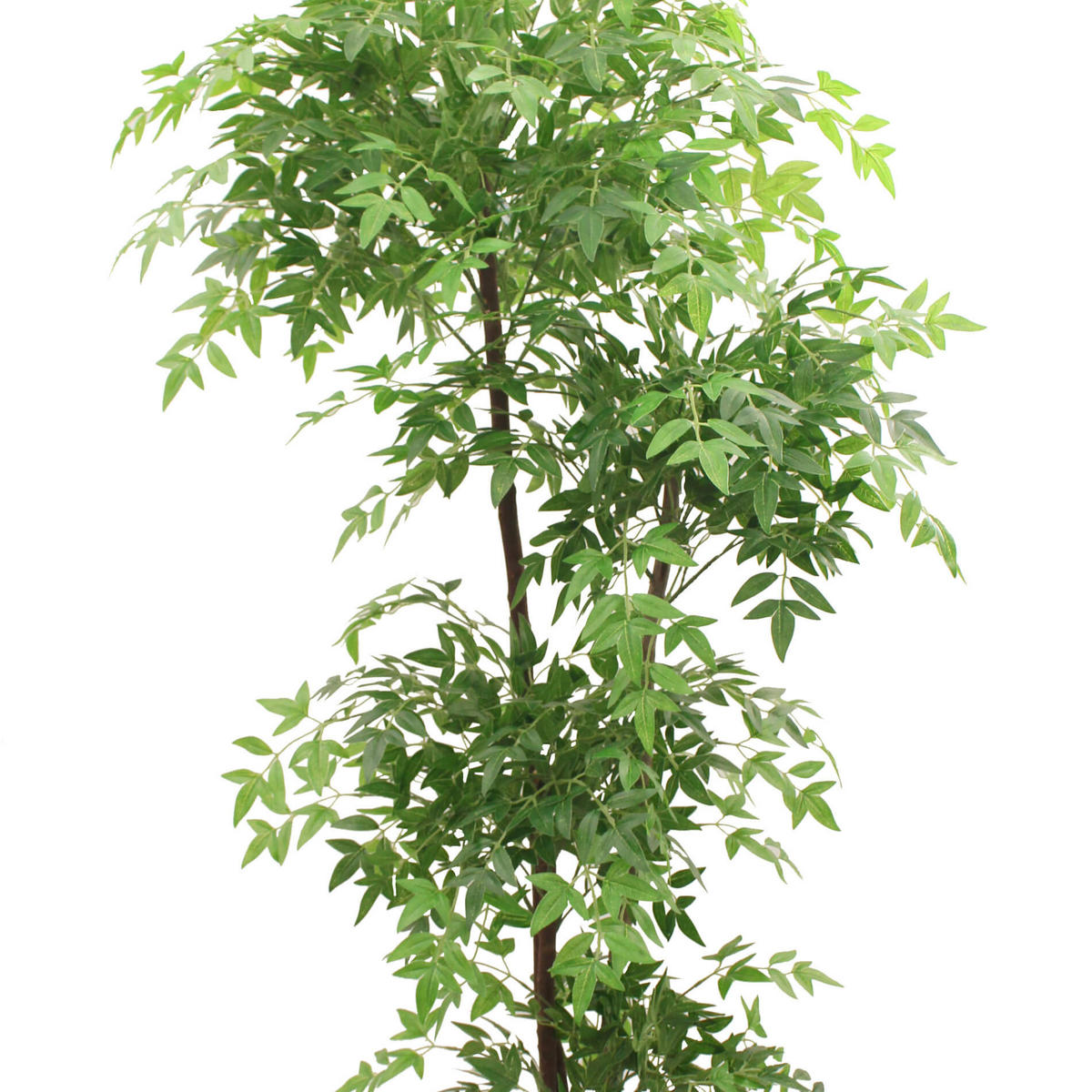 KUNSTPFLANZE Nandina 150 cm - Grün, Kunststoff (150cm)