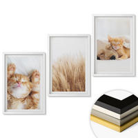 WANDBILDER 3er-Set - 40x60 cm Weißer Rahmen - Niedliche Tiere, Katzen, Hunde, Boho-Stil - Weiß, Kunststoff (40/60cm) - ArtPrintCave