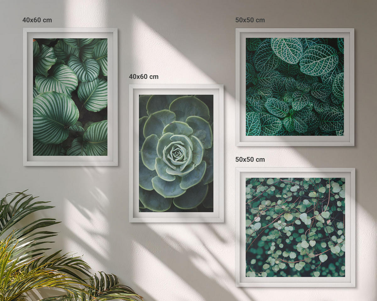 WANDBILDER 4er-Set - 50x50 cm & 40x60 cm Weißer Rahmen - Grüne, saftige Blätter - Weiß, Kunststoff (50/50cm) - ArtPrintCave
