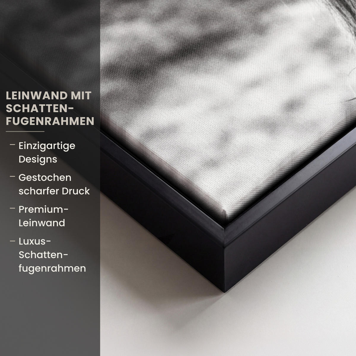 LEINWAND Bilder mit Rahmen - Kuh - Schottischer Hochländer - Schwarz - Weiß - Tier - Natur - Wildtiere - 70x50 - Schwarz, Textil (70/50cm) - MuchoWow