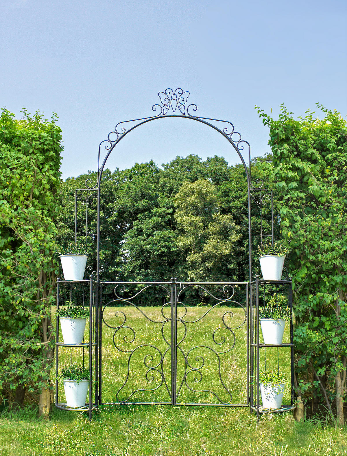 PFORTE Tokio Rosenbogen Stahl Schwarz 230x28x156cm - Schwarz, Metall (28/230/156cm) - DELUKE