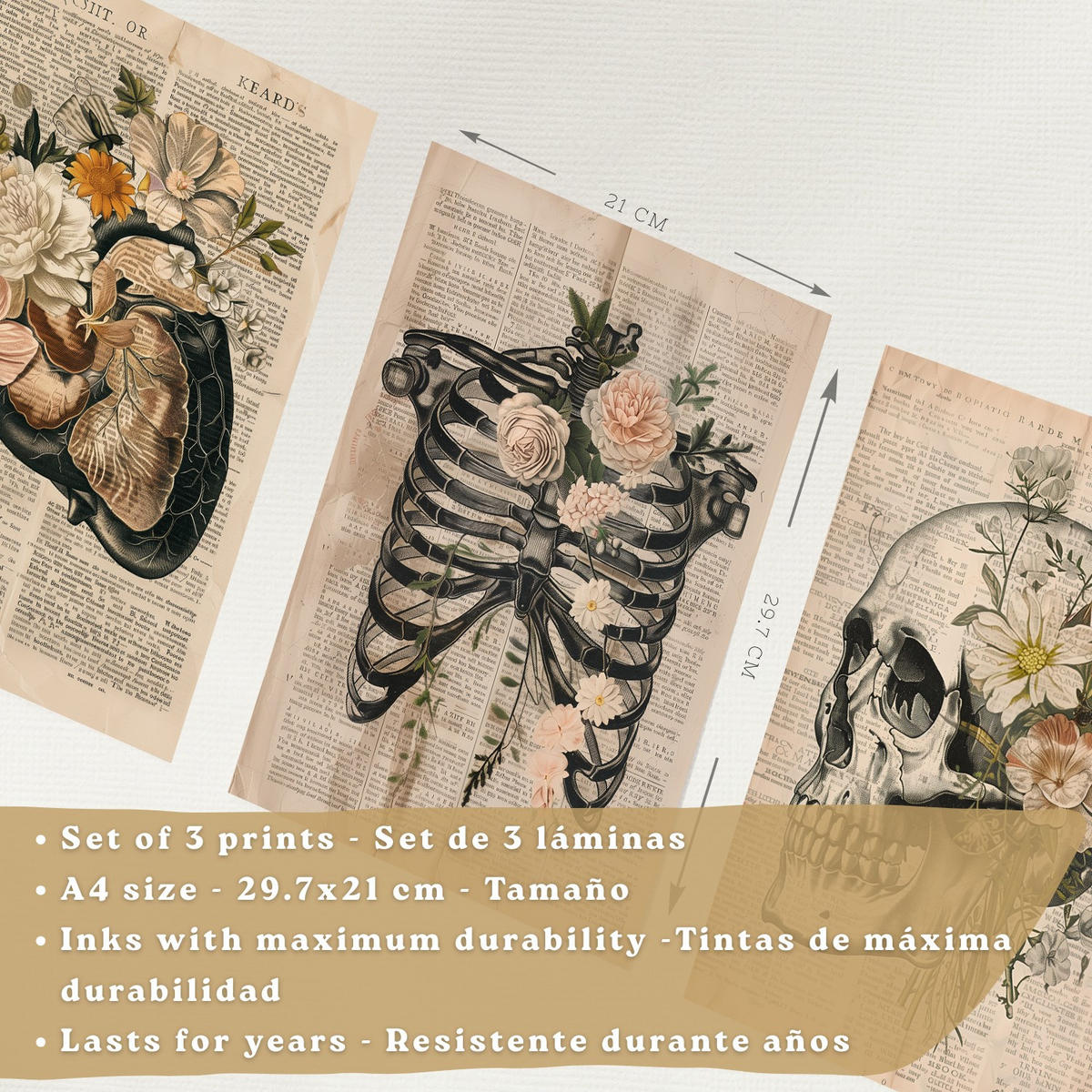 POSTER Set aus 3 Anatomie Mensch Drucke und Wandbilder mit Leber Rippen und Schädel Retro Floraler Stil Medizinische Wanddekoration Größe Rahmenlos A4 - Klar, Papier (21/29.7/3cm) - Nacnic