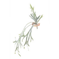 KUNSTBLATT Leaves Grün 82/30/93cm - Grün, Kunststoff (30/93/82cm) - PTMD Collection