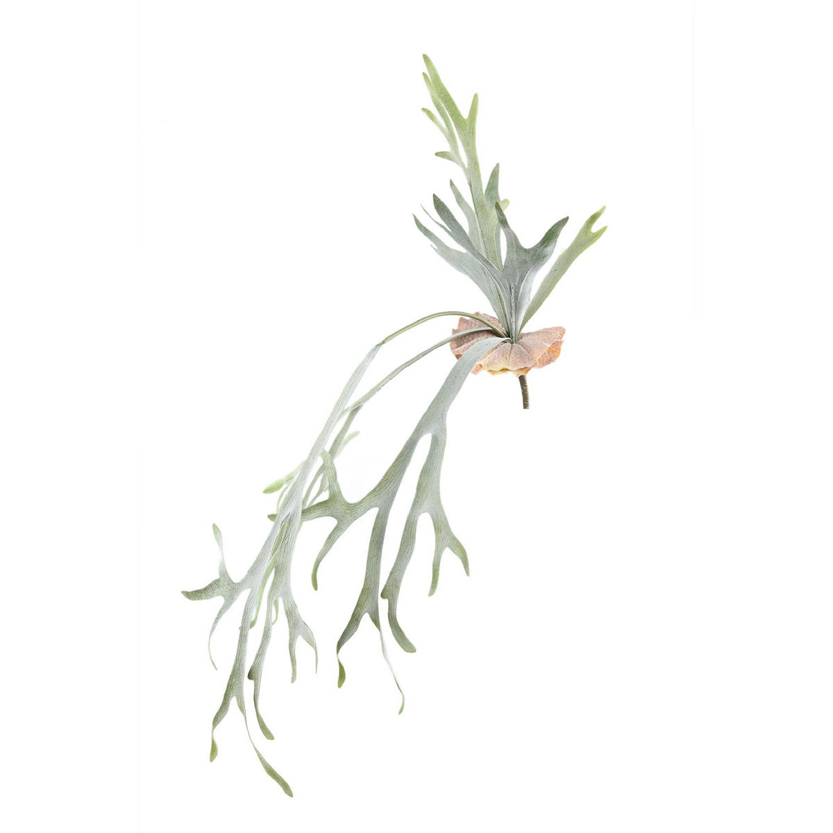 KUNSTBLATT Leaves Grün 82/30/93cm - Grün, Kunststoff (30/93/82cm) - PTMD Collection