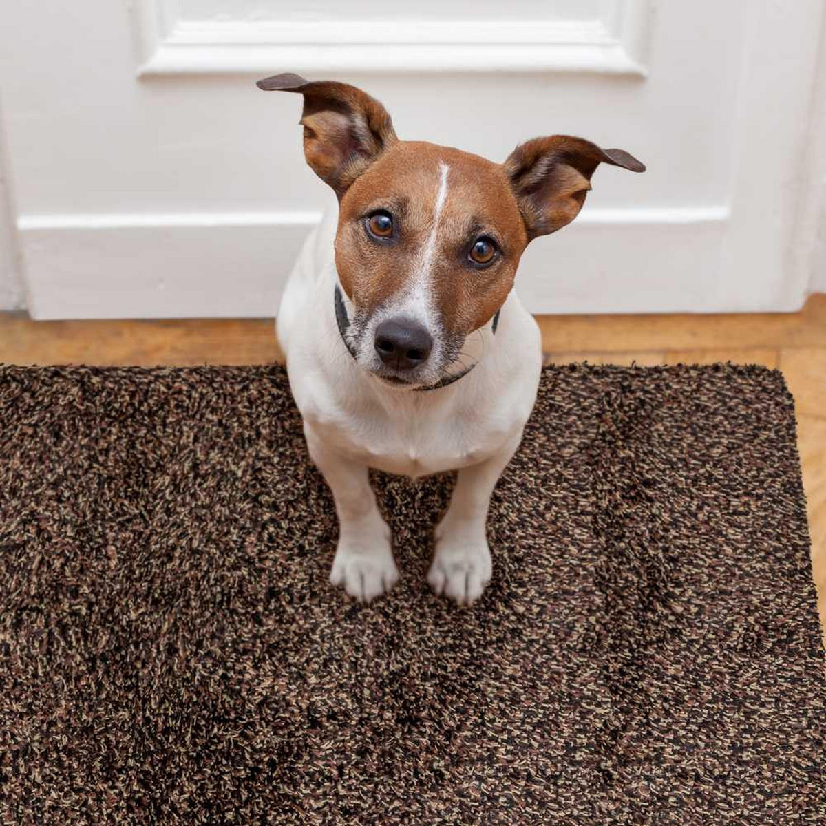 FUSSMATTE FÜR INNEN & AUßEN MAGIC DOORMAT - Grau, Textil (50/90cm) - WohnDirect