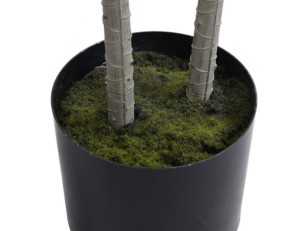 KUNSTPFLANZE - 50 cmcm x 40 cmcm - Plastik - Grün - LYA - Grün, Kunststoff (150cm) - Vente-Unique