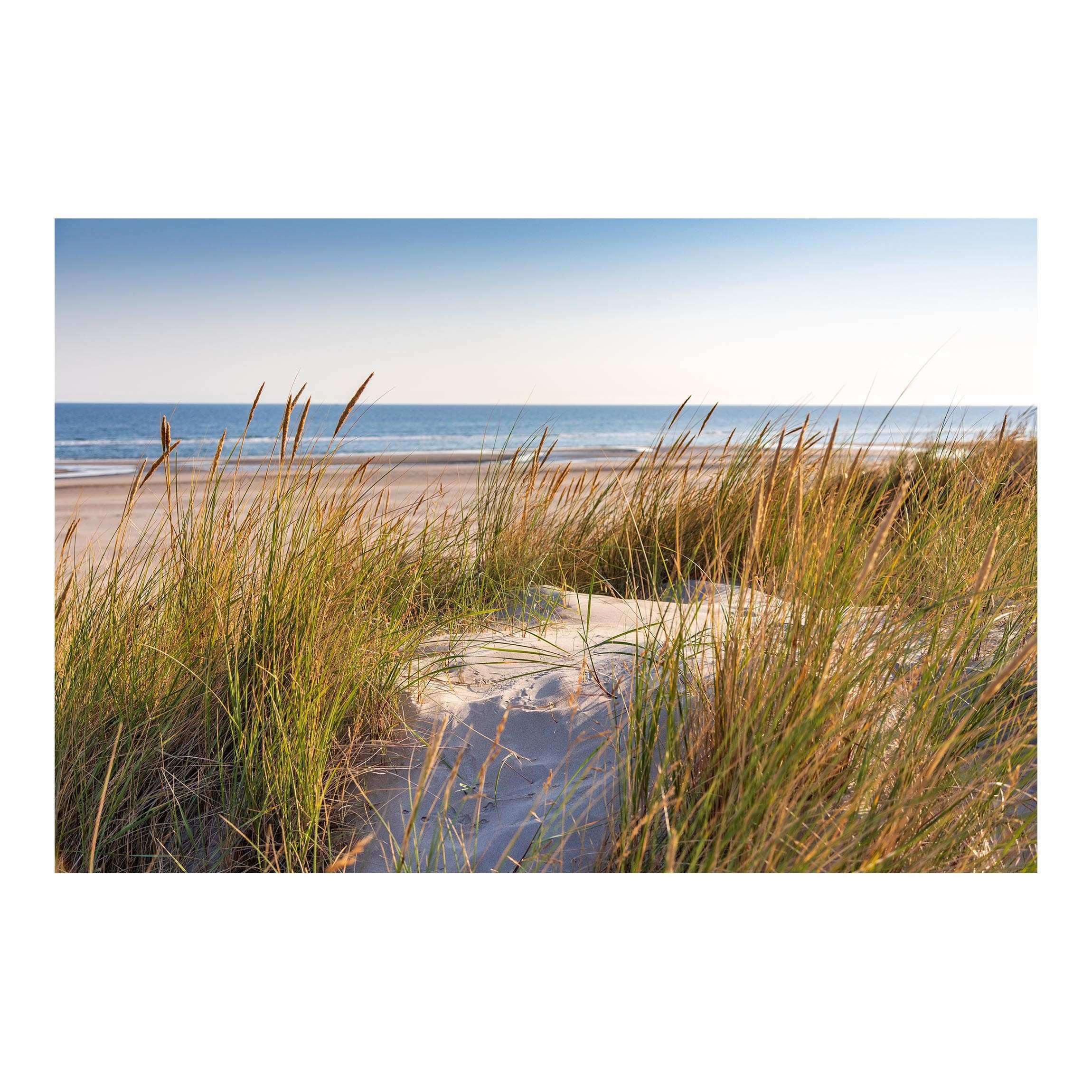 FOTOTAPETE Stranddüne am Meer 384/255 cm - Eichefarben, Papier (384/255cm) - Bilderwelten