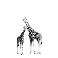 FOTOTAPETE Giraffen 139.5 x 279 cm - Schwarz, Papier (139.5/279cm) - ESTAhome