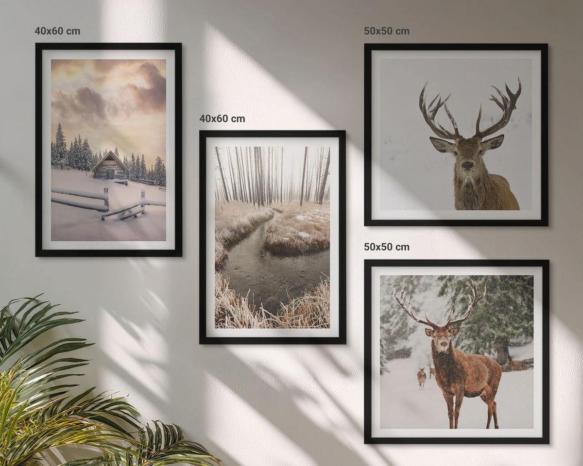 WANDBILDER 4er-Set - 50x50 cm & 40x60 cm Schwarzer Rahmen - Winterlandschaft mit Hirschen - Schwarz, Kunststoff (50/50cm) - ArtPrintCave