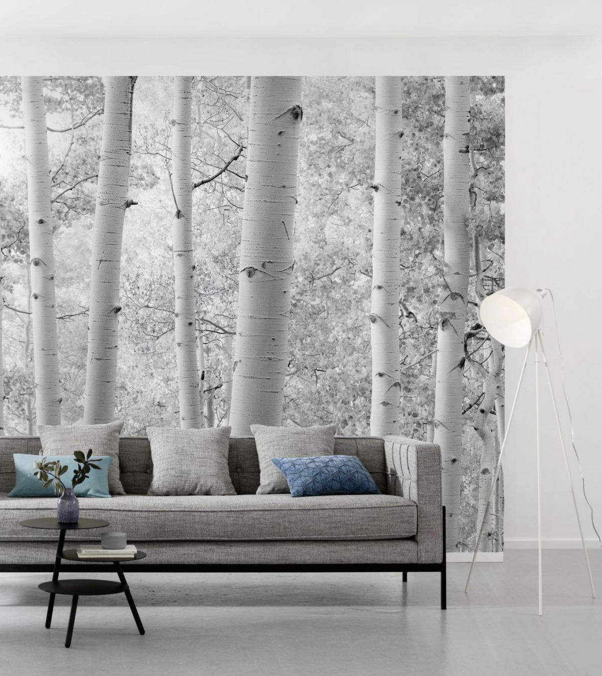 FOTOTAPETE Wald 450 x 280 cm - Schwarz, Papier (450/280cm) - Sanders & Sanders