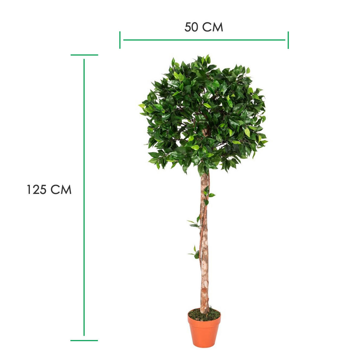 KUNSTBAUM Ficus formgeschnitten, 125 cm - Grün, Kunststoff (125cm) - Homescapes