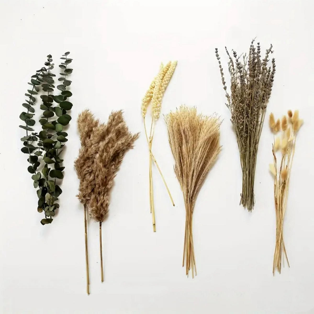 TROCKENBLUME 89 Stück, Für Home Hochzeit Esszimmertisch Deko - Multicolor, Naturmaterialien (7cm) - Kaket