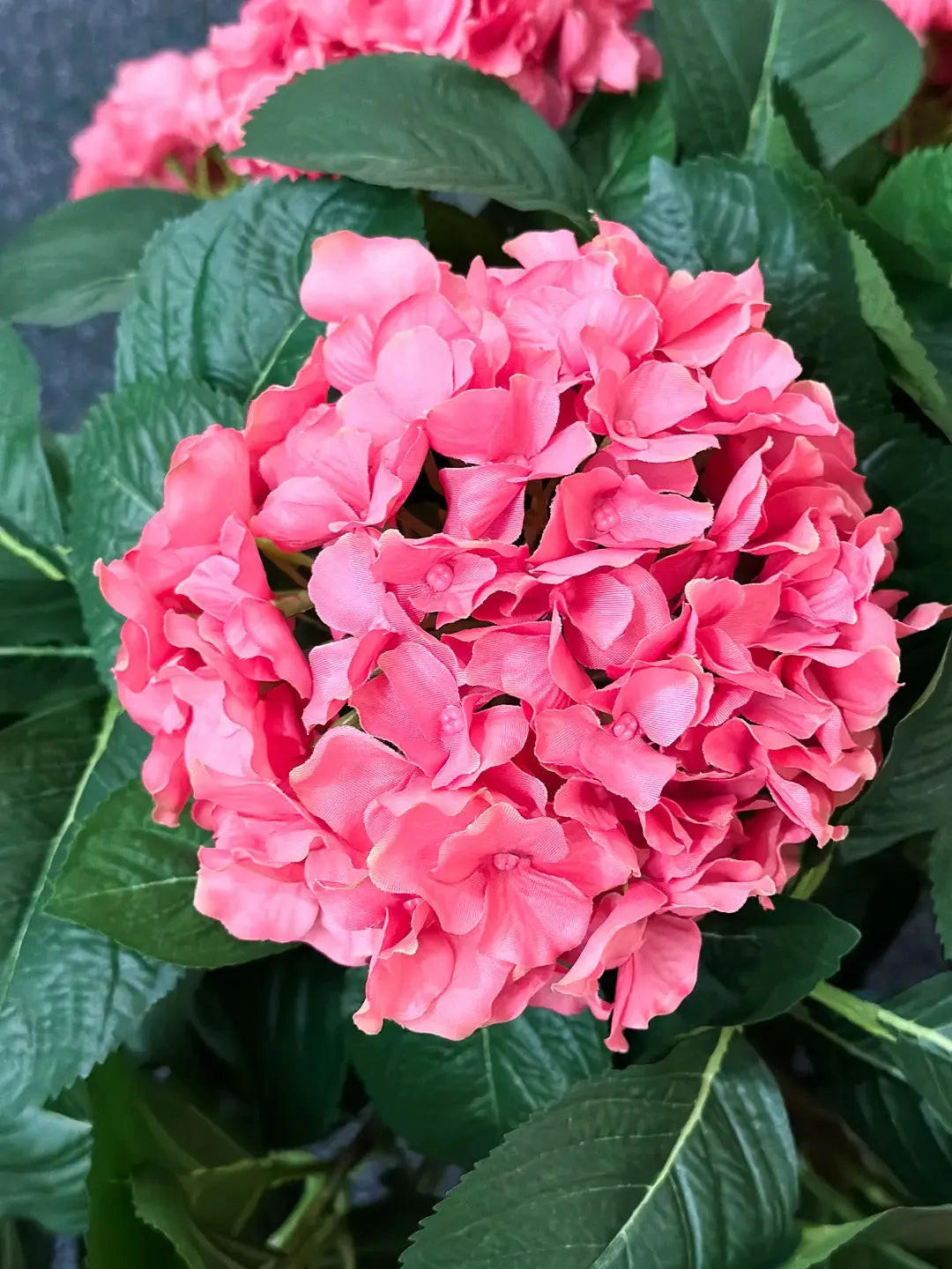 HORTENSIEN Künstliche Hortensie - Nils 53 cm - Pink, Kunststoff (53cm) - aplanta