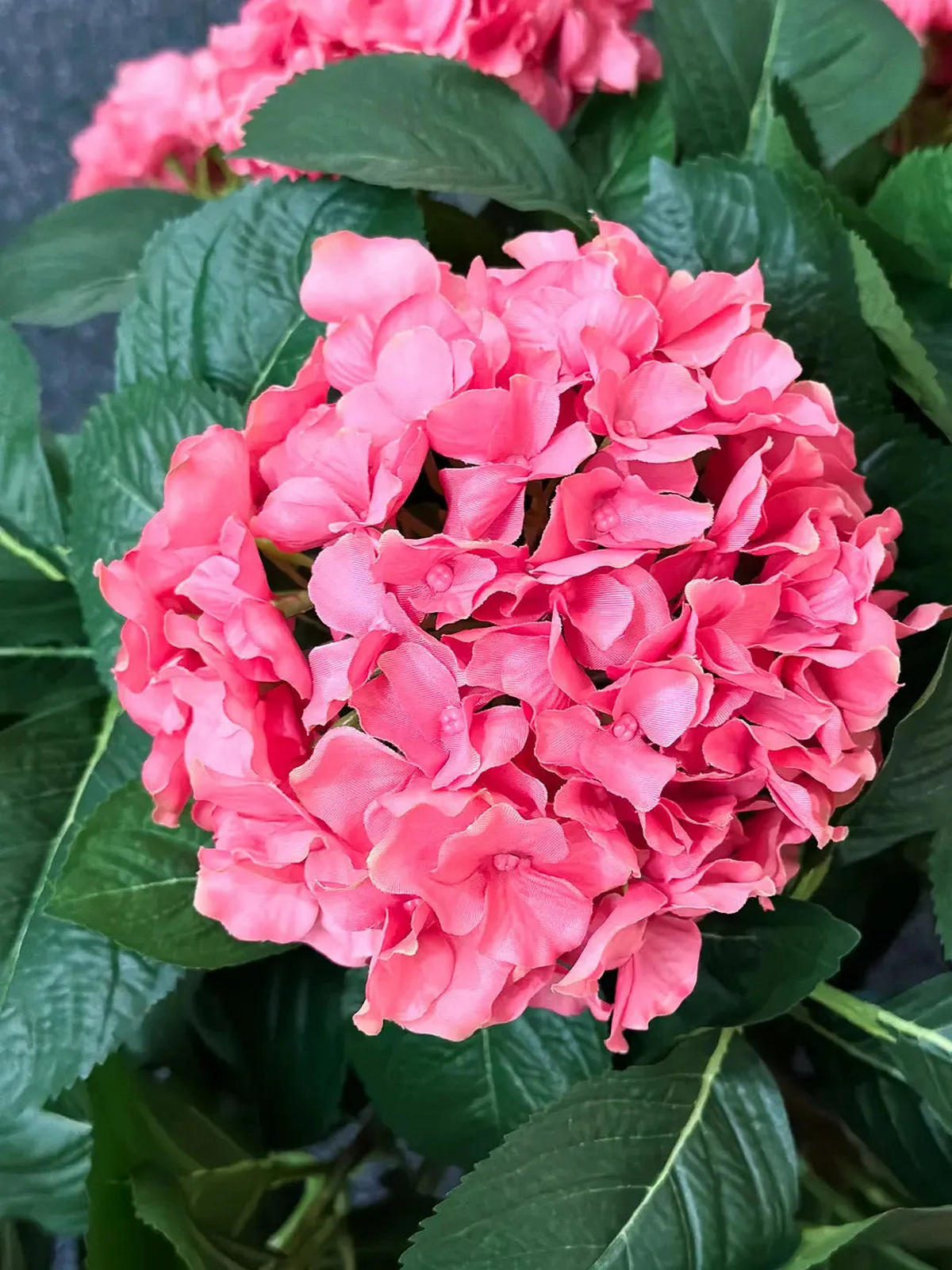HORTENSIEN Künstliche Hortensie - Nils 53 cm - Pink, Kunststoff (53cm) - aplanta