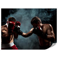 FOTOTAPETE für Jugendzimmer Boxer Männer Training Kampf Rauch 450x315 - Beige/Rot, Papier (450/315cm) - Muralo