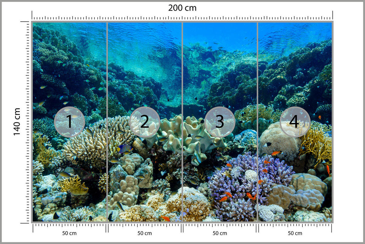 FOTOTAPETA Podmorský Svet Korálový Útes Farebné Ryby More Príroda 200 x 140 cm - oranžová/hnedá, papier (200/140cm) - Muralo
