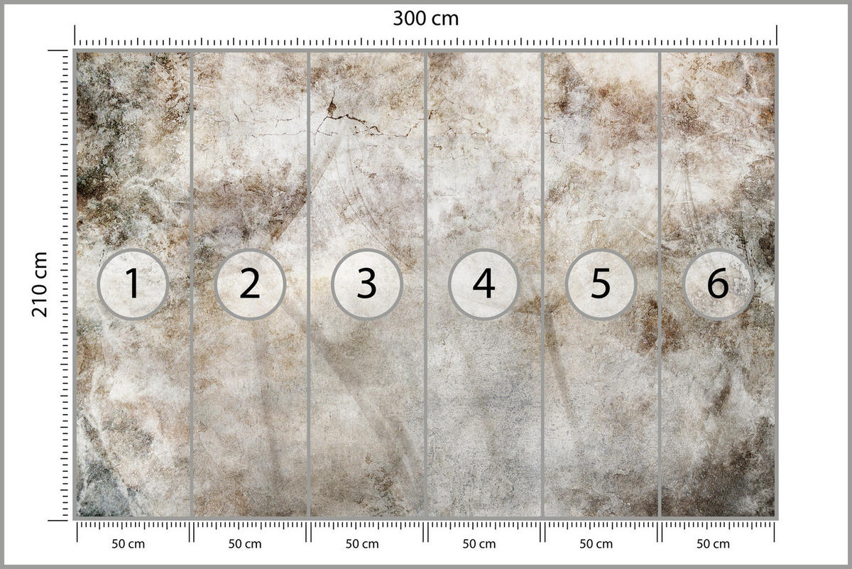 FOTOTAPETE Löwenzahnsamen Beton Retro Stil 300x210 - Beige/Braun, Papier (300/210cm) - Muralo