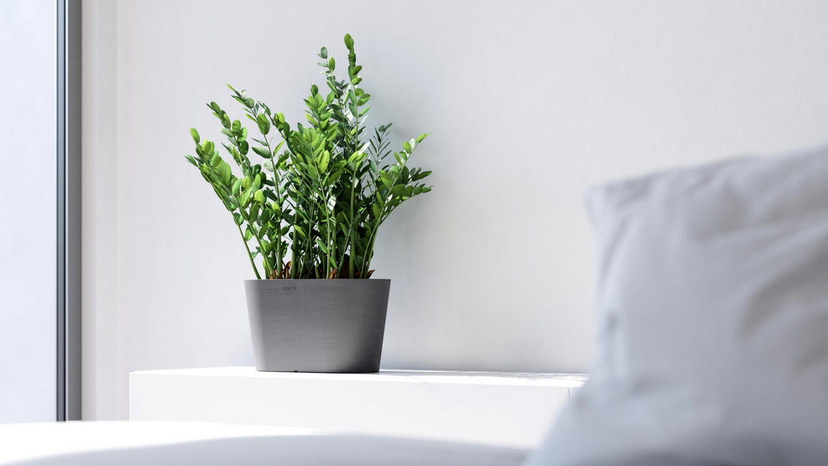 BLUMENTOPF Tokyo 30/17/17 cm Grau - Grau, Kunststoff (30/17cm) - Ecopots