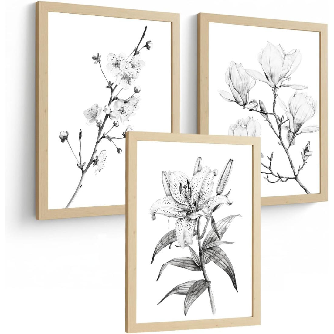 PLAKAT Sada 3 obrázků květin. Dekorativní nástěnné tisky Květiny tužkou. botanický plakát na zeď.Rám z lehkého dřeva velikosti A4 - béžová, papír (29.7/42/3cm)