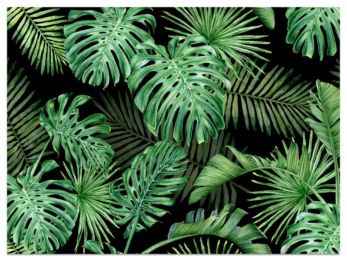 FOTOTAPETE für Schlafzimmer Exotische Grüne Monstera Palmen 500x350 - Schwarz/Grün, Papier (500/350cm) - Muralo