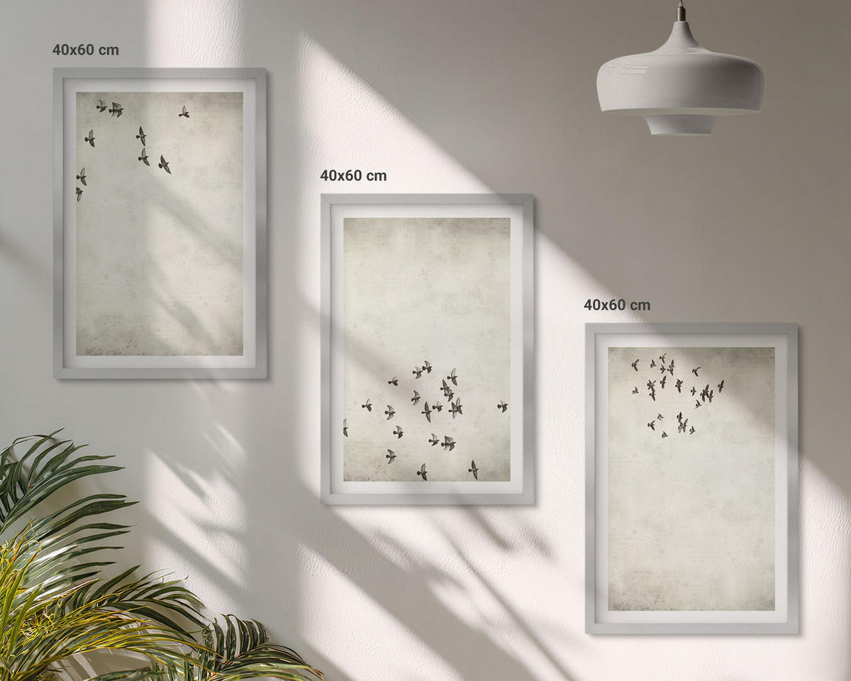 BILDER SET 3er Set - 40x60 cm Silberner Rahmen - Minimalistische Vogelmalerei - Silberfarben, Kunststoff (40/60cm) - TULUP
