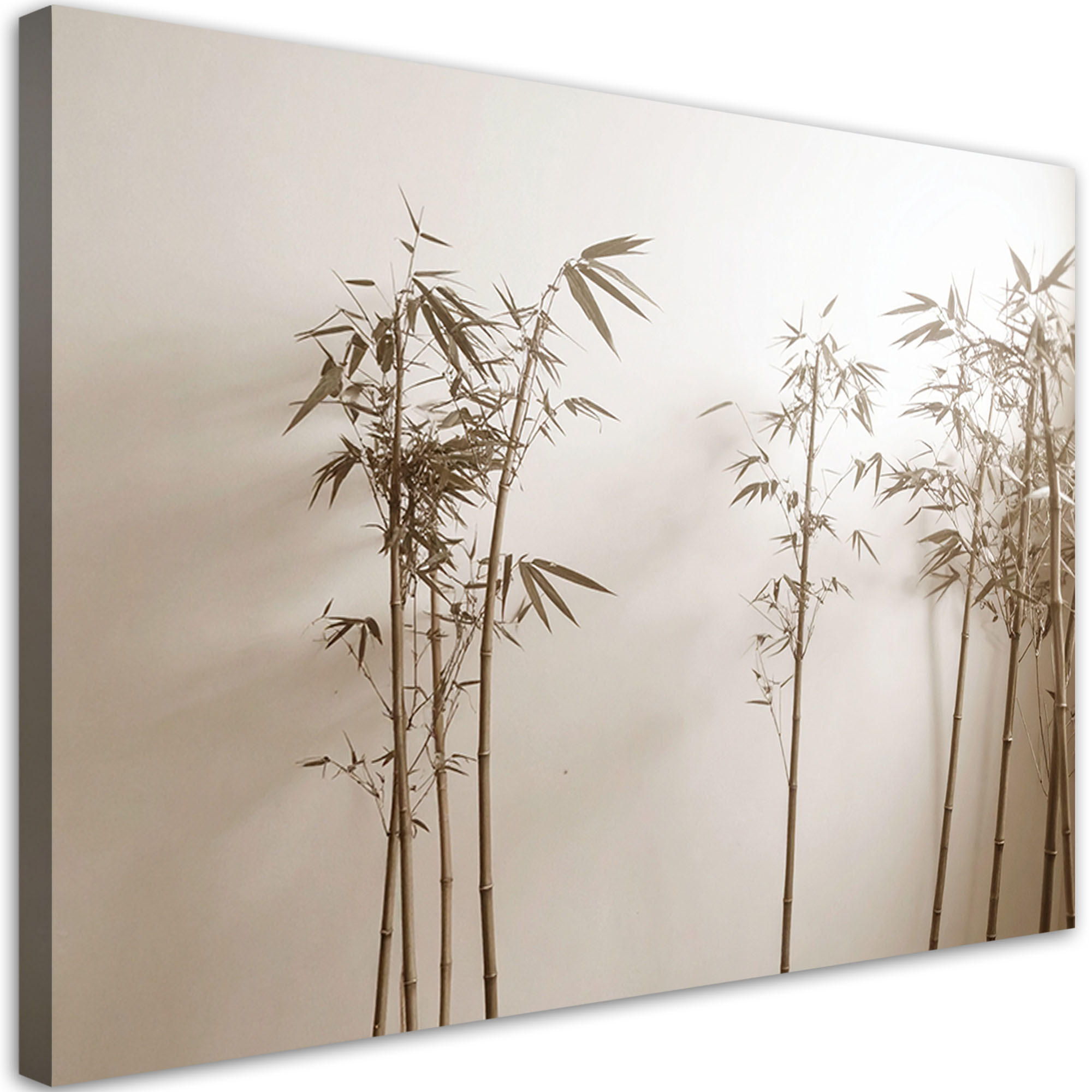 LEINWANDBILD Pampasgraspflanzen in Beige 90x60cm - Beige, Textil (90/60cm) - Feeby