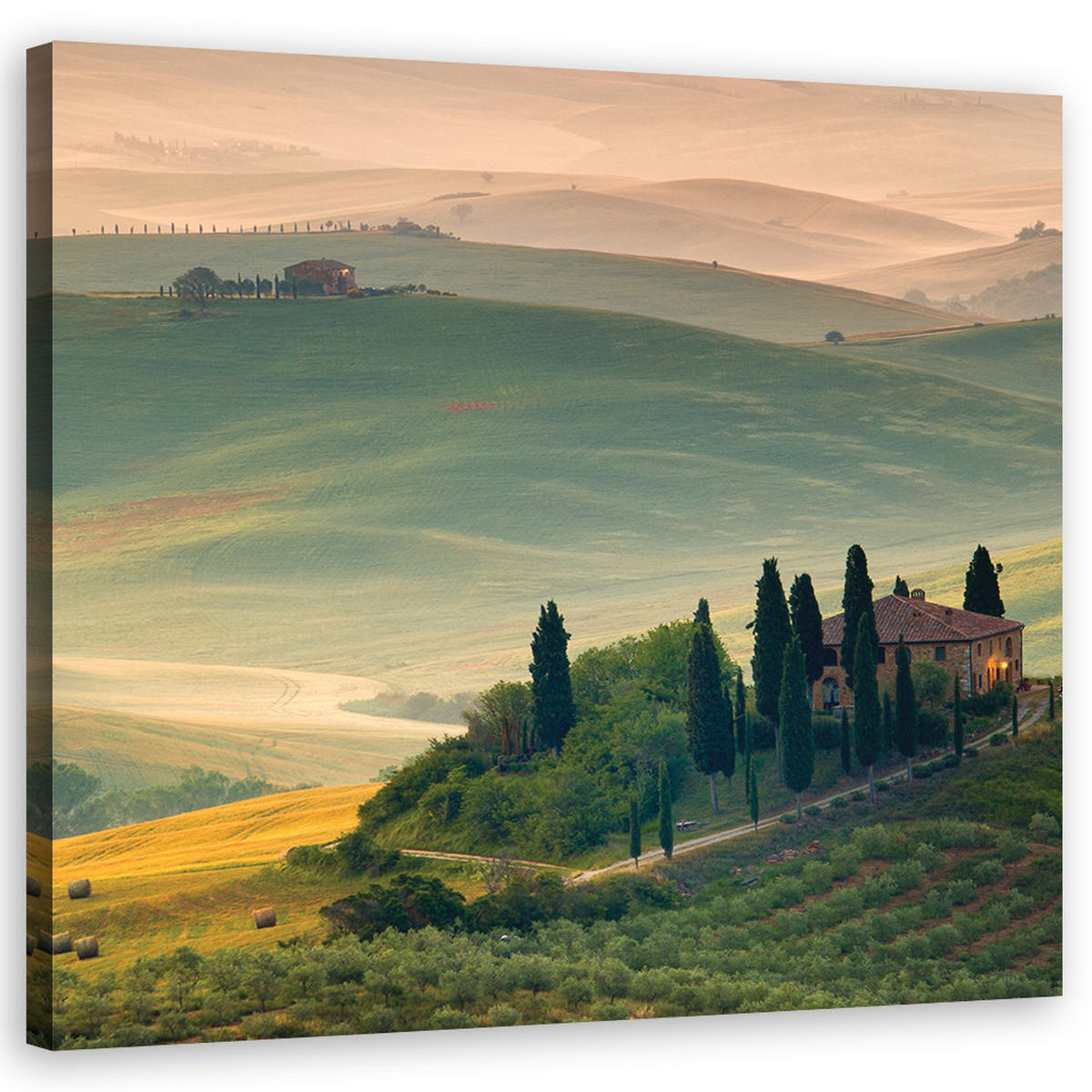 WANDBILD landschaften grün - Grün, Textil (50/50cm) - Feeby