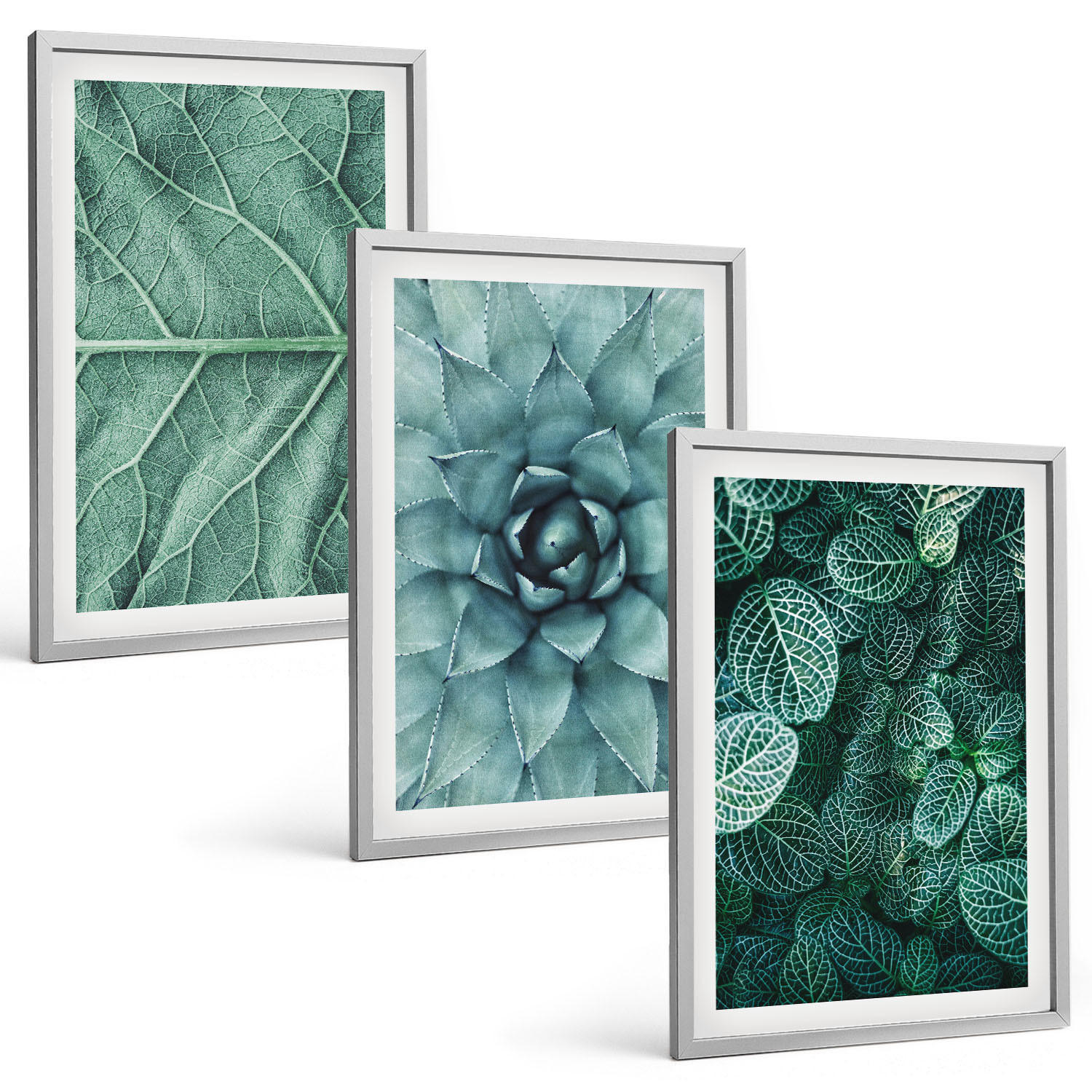 BILDER SET 3er Set - 40x60 cm Silberner Rahmen - Nahaufnahme von Pflanzenblättern - Silberfarben, Kunststoff (40/60cm) - TULUP