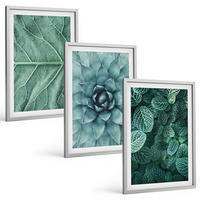 BILDER SET 3er Set - 40x60 cm Silberner Rahmen - Nahaufnahme von Pflanzenblättern - Silberfarben, Kunststoff (40/60cm) - TULUP