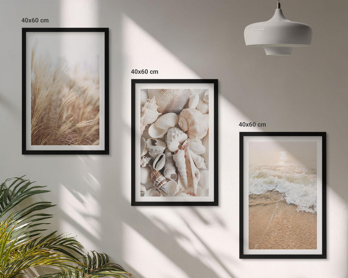 BILDER SET 3er Set - 40x60 cm Schwarzer Rahmen - Strandmotive, Muscheln, Wellen - Schwarz, Kunststoff (40/60cm) - TULUP
