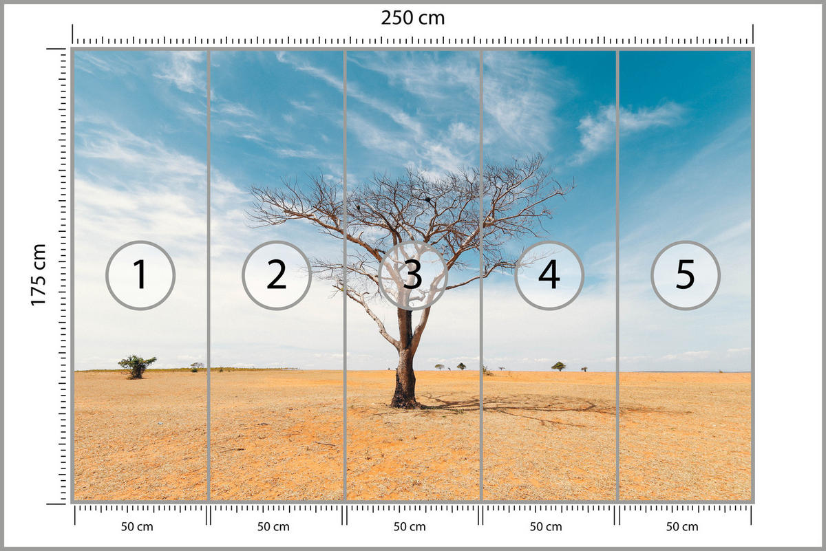 FOTOTAPETE für Wohnzimmer Trockener Baum Wüste Sand 250x175 - Beige/Orange, Papier (250/175cm) - Muralo