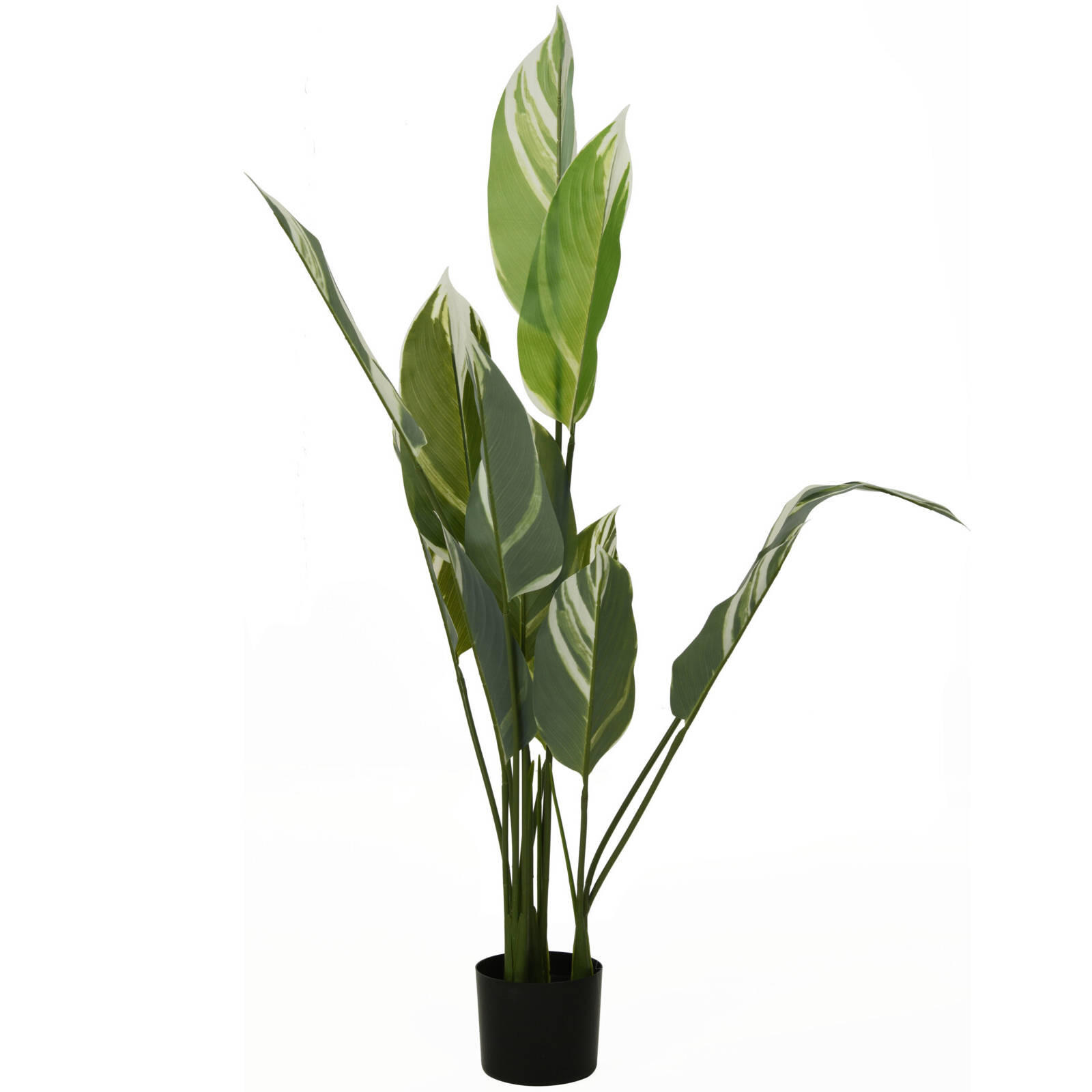 XXXLutz Künstliche Grün 118 cm