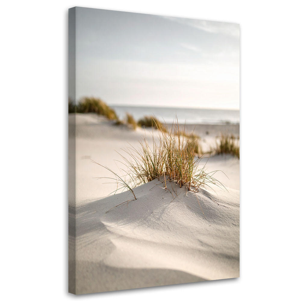 LEINWANDBILD Strand Meer Dünen Natur Pflanzen 80x120cm - Beige, Textil (80/120cm) - Feeby