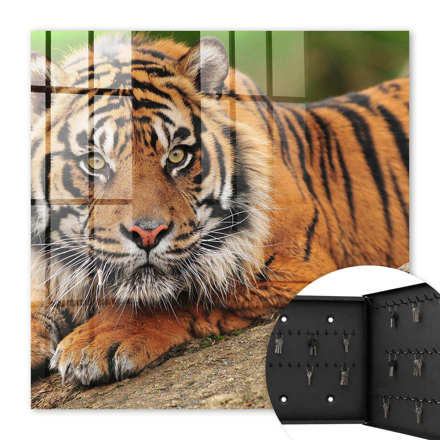 SCHLÜSSELBOX Schwarz 30x30 cm- Türöffnung nach rechts - Tiger ruht - Orange, Metall (30/30/5cm) - TULUP