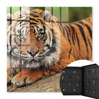 SCHLÜSSELBOX Schwarz 30x30 cm- Türöffnung nach rechts - Tiger ruht - Orange, Metall (30/30/5cm) - TULUP