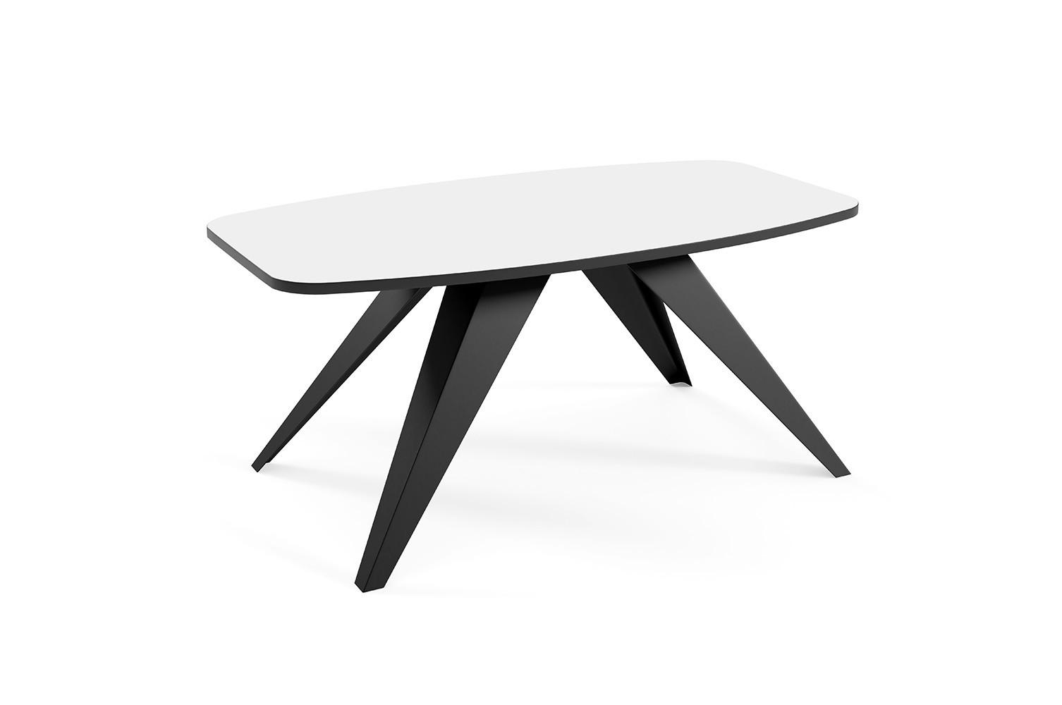 COUCHTISCH Luna Icy Weiß / Schwarz 120 / 60 / 48cm - Schwarz/Weiß, Holz/Holzwerkstoff (60/120/48cm) - Feldmann-Wohnen