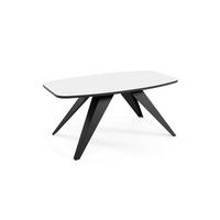 COUCHTISCH Luna Icy Weiß / Schwarz 120 / 60 / 48cm - Schwarz/Weiß, Holz/Holzwerkstoff (60/120/48cm) - Feldmann-Wohnen