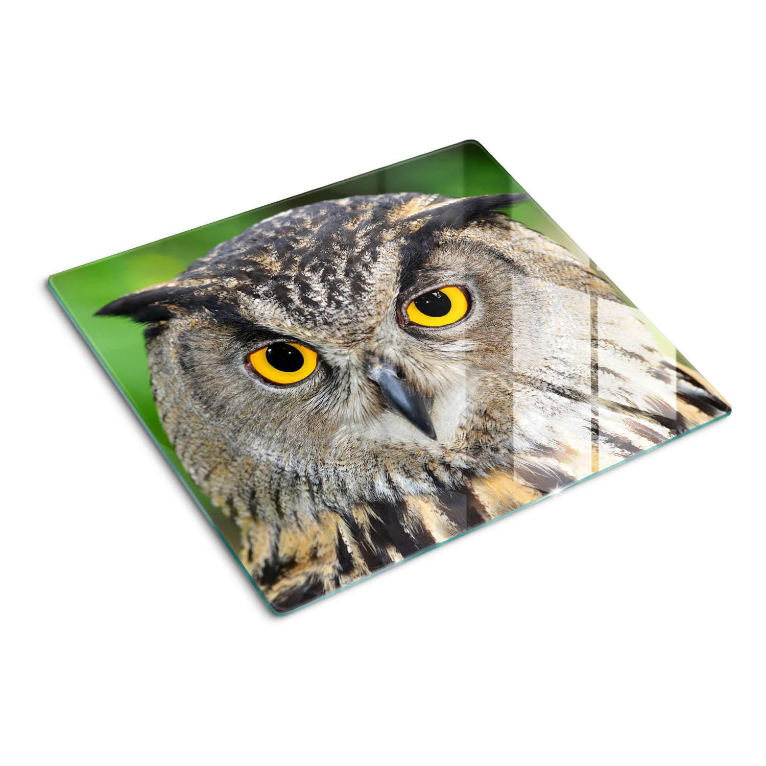 GLASPLATTE 60x52 cm Eule - Multicolor, Glas (60/0.4/52cm) - TULUP