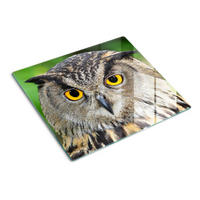 GLASPLATTE 60x52 cm Eule - Multicolor, Glas (60/0.4/52cm) - TULUP