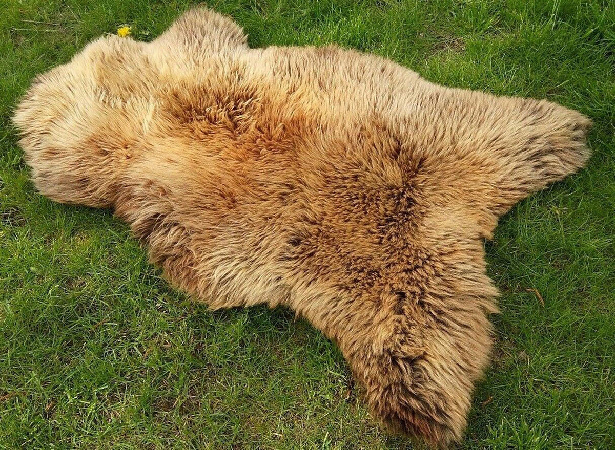 SCHAFFELL Skandinavisch Creme Braun ökologisch gegerbt ca. 100 cm - Creme/Braun, Fell (60/100cm) - Provellus