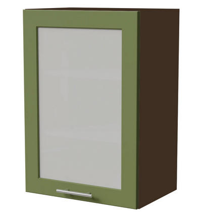 Feldmann-Wohnen Küchenhängeschrank Grün, Dunkelgrau 50x72x32.5 cm