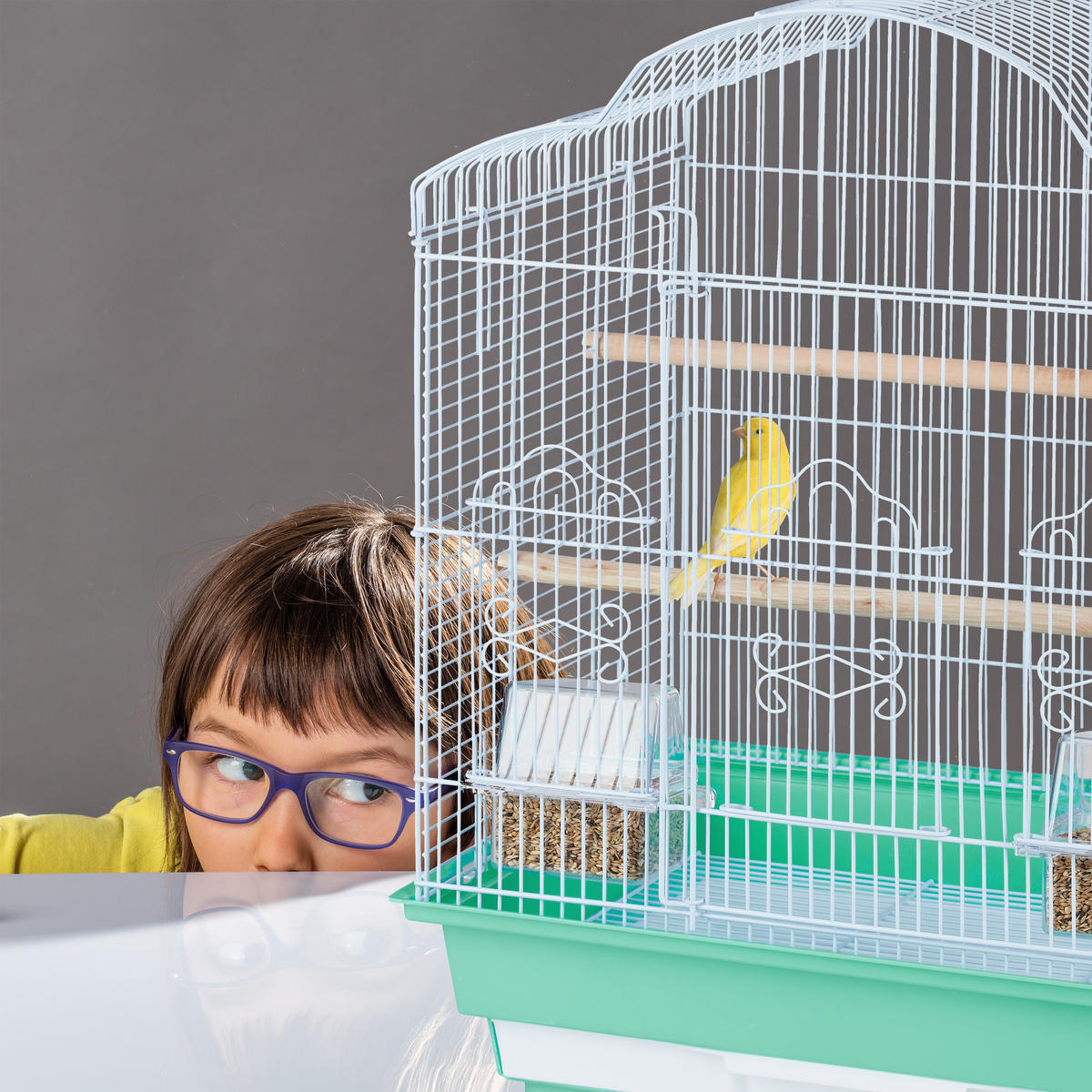 VOGELKÄFIG - Multicolor, Kunststoff/Metall (46.5/56.5/35.5cm) - Relaxdays